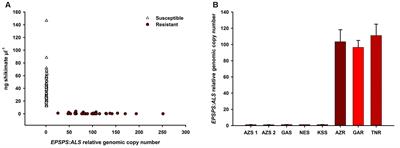 Population Genetic Structure in Glyphosate-Resistant and -Susceptible Palmer Amaranth (Amaranthus palmeri) Populations Using Genotyping-by-sequencing (GBS)